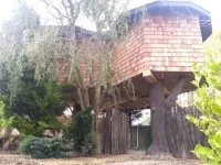 Vignette de l'article : Une cabane de luxe