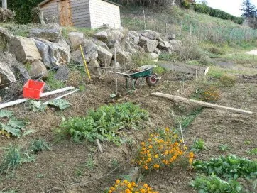 L’emplacement du futur abri de jardin