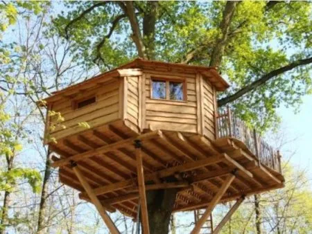 Quelques règles essentielles à connaitre pour la construction d'une cabane dans un arbre