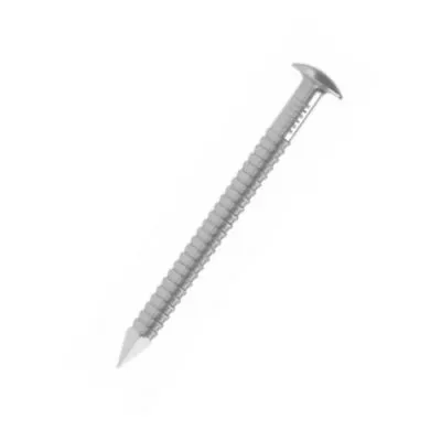 Pointe annelée tête bombée - Inox A4 D=2.3mm, L=50mm, BTE500 - ARA42.3X50 - Réf. 74225