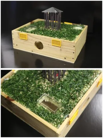 2 pieds - section jusqu