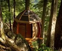 Cabane dans les arbres