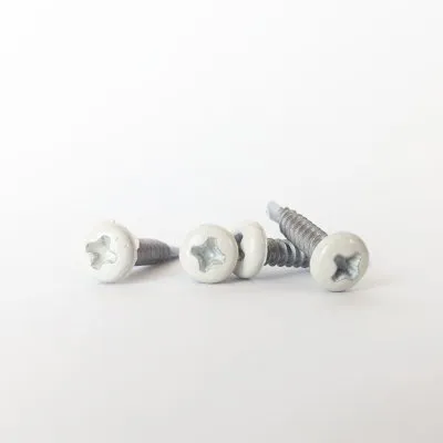 Vis autoperceuse à tête cylindrique bombée - INOX - BEIGE SABLE (RAL1013) - D3,5 x L19 - 100 unités - Réf. RAL1013-300399187_100