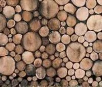 Vignette de l'article : La cabane en troncs : le travail de design du néerlandais Piet Hein Eek