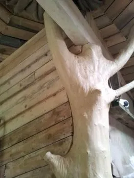 Détail de la liaison avec l’arbre