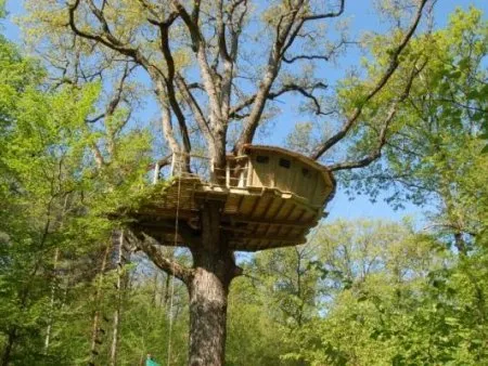 Cabanes dans les Arbres
