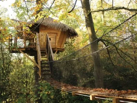 La cabane dans les arbres