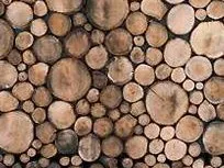 La cabane en troncs : le travail de design du néerlandais Piet Hein Eek