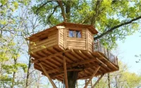 Vignette de la rubrique : Guide de construction des Cabanes perchées