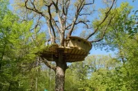 Vignette de la rubrique : Cabanes dans les Arbres