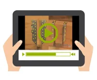 Vignette de la rubrique : Les méthodes de fixation